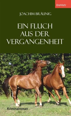 Ein Fluch aus der Vergangenheit (eBook, ePUB) - Bräunig, Joachim