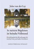 In meinem Bügeleisen ist beinahe Vollmond (eBook, ePUB)