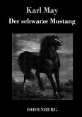 Der schwarze Mustang