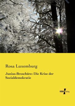 Junius-Broschüre: Die Krise der Sozialdemokratie - Luxemburg, Rosa