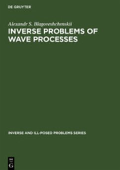 Inverse Problems of Wave Processes - Blagoveshchenskii, A. S.