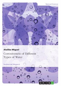 Corrosiveness of Different Types of Water (eBook, PDF) - Miguel, Ataliba