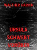 Ursula schwebt vorüber (eBook, ePUB)