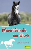 Pferdefeinde am Werk (eBook, ePUB)