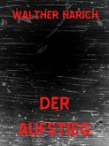 Der Aufstieg (eBook, ePUB)