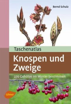 Taschenatlas Knospen und Zweige - Schulz, Bernd