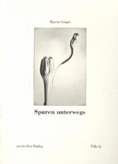 Spuren unterwegs - Geiges, Bjarne