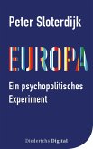 Europa - ein psychopolitisches Experiment (eBook, ePUB)