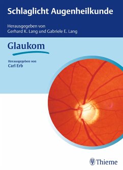Schlaglicht Augenheilkunde: Glaukom (eBook, PDF)