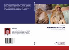 Assamese macaque - Sarkar, Prabal