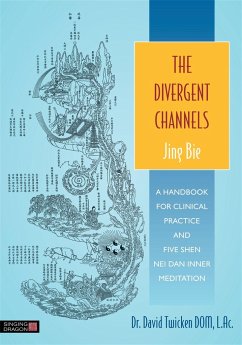The Divergent Channels - Jing Bie - Twicken, David