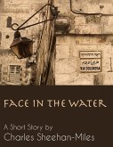 Face in the Water (eBook, ePUB)