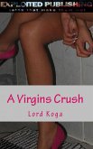 A Virgins Crush (eBook, ePUB)