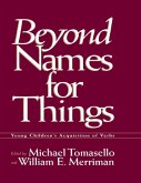 Beyond Names for Things (eBook, ePUB)