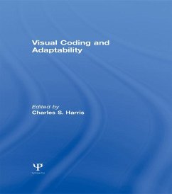 Visual Coding and Adaptability (eBook, ePUB)