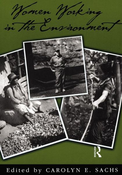 Women Working In The Environment (eBook, PDF)