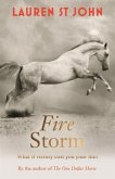 The One Dollar Horse: Fire Storm (eBook, ePUB)