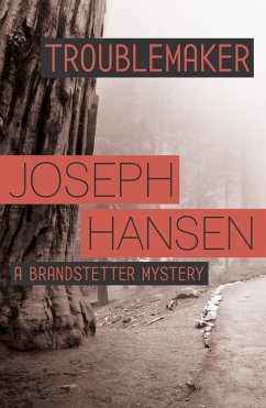 Cover Troublemaker (eBook, ePUB)
