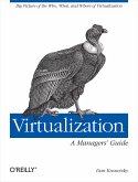 Virtualization: A Manager's Guide (eBook, ePUB)