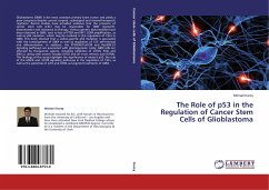 The Role of p53 in the Regulation of Cancer Stem Cells of Glioblastoma