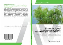 Biomechanik und Funktionsmorphologie baumförmiger Trauerformen