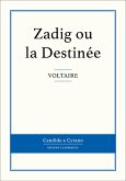 Zadig ou la Destinée (eBook, ePUB)