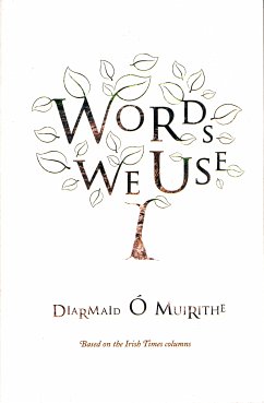 Words We Use (eBook, ePUB) - Ó Muirithe, Diarmaid