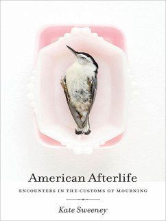 Cover American Afterlife (eBook, ePUB)