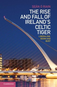 Rise and Fall of Ireland's Celtic Tiger (eBook, PDF) - Riain, Sean O