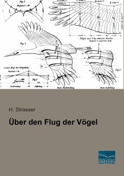 Über den Flug der Vögel - Strasser, H.