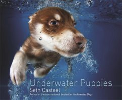Underwater Puppies - Casteel, Seth