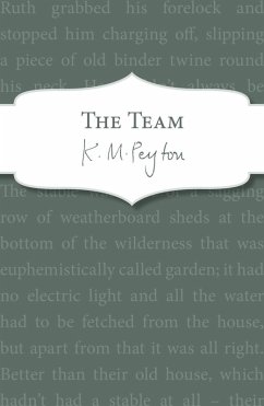 Cover The Team (eBook, ePUB)