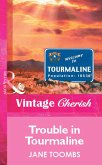 Trouble In Tourmaline (eBook, ePUB)