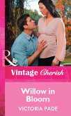 Willow in Bloom (eBook, ePUB)