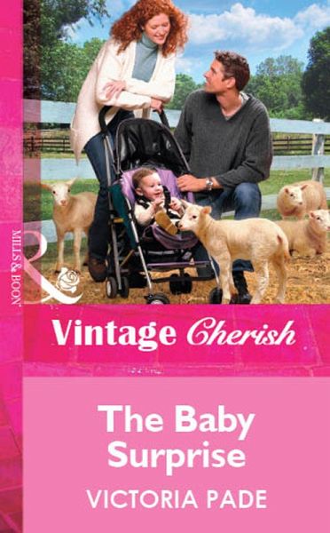 The Baby Surprise (eBook, ePUB) The Baby Surprise (eBook, ePUB)