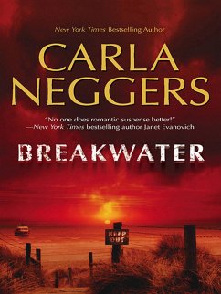 Cover Breakwater (eBook, ePUB)