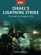 Israel's Lightning Strike (eBook, ePUB) - Bild 1