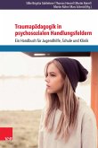 Traumapädagogik in psychosozialen Handlungsfeldern (eBook, PDF)
