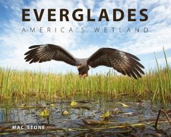 Everglades - Stone, Mac