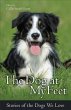 The Dog at My Feet: Stories of the Dogs... - Bild 1