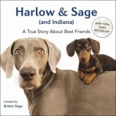 Harlow & Sage (and Indiana) Harlow & Sage (and Indiana)