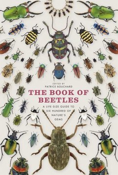 The Book of Beetles - Bouchard, Patrice