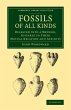 Fossils of All Kinds - Bild 1