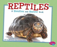 Reptiles - Martin, Isabel