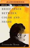 Brief Space Between Color and Shade