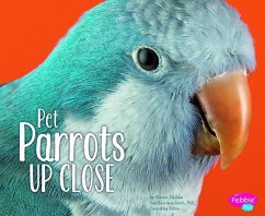 Pet Parrots Up Close - Dubke, Karon