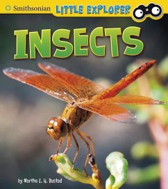 Insects - Rustad, Martha E. H.