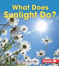 What Does Sunlight Do? - Boothroyd, Jennifer
