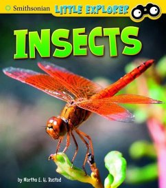 Insects - Rustad, Martha E H