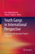 Youth Gangs in International Perspective - Bild 1